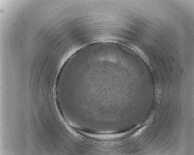 X0000066510893200603241304