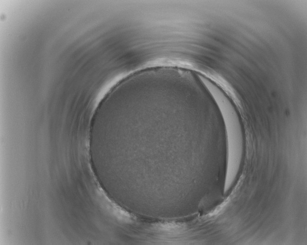 X0000066510896200603241304