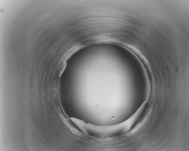 X0000066510897200603241304