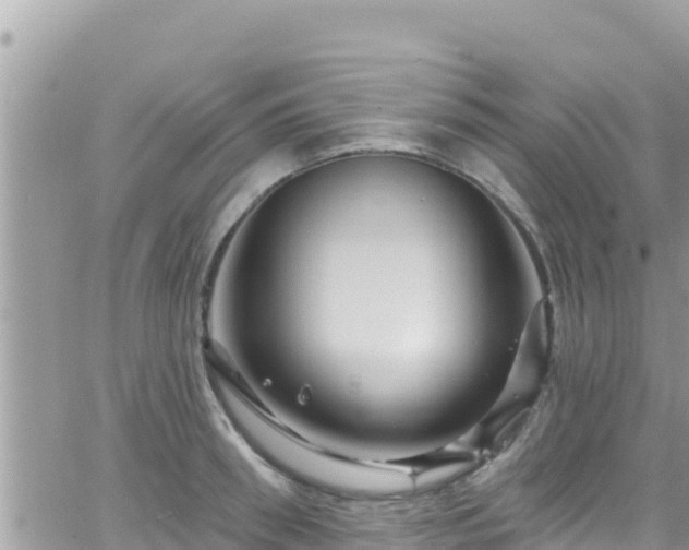 X0000066510898200603241303