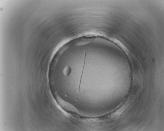 X0000066510902200603241303