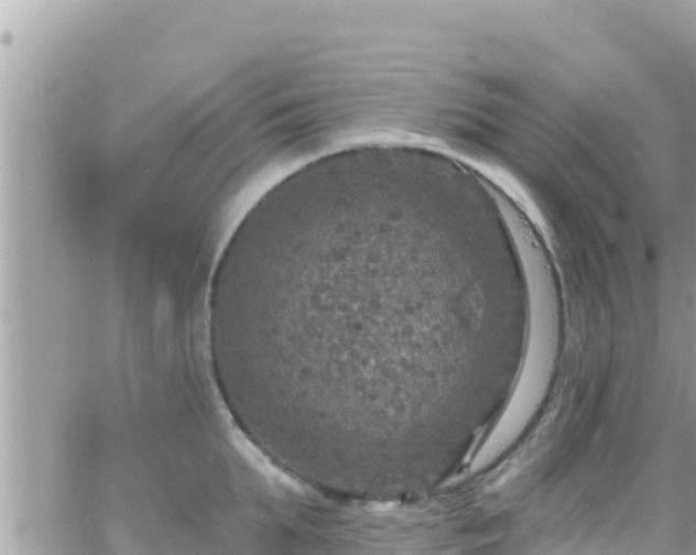 X0000066510903200603241303