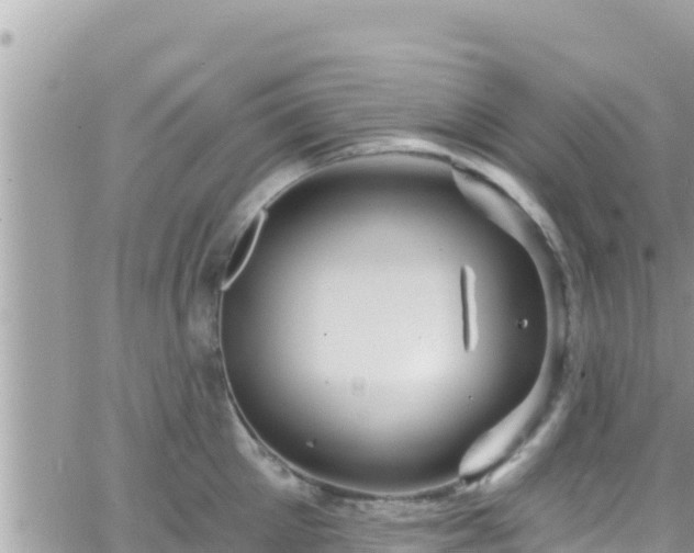 X0000066510905200603241303