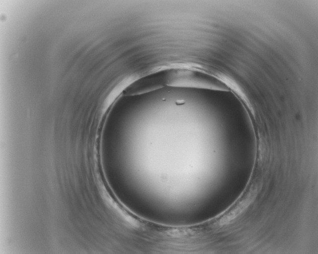 X0000066510906200603241303