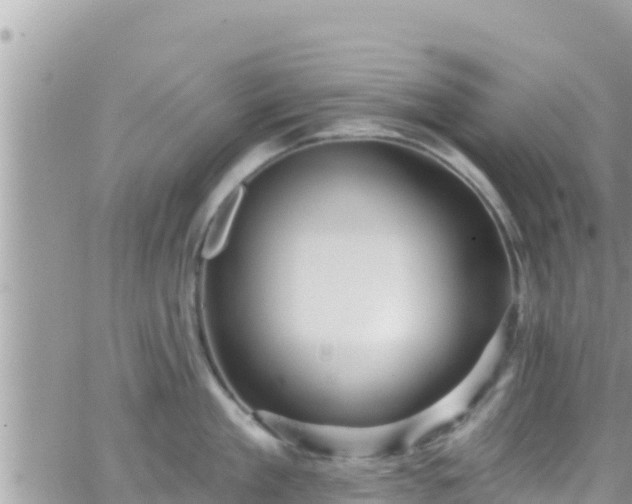 X0000066510909200603241303