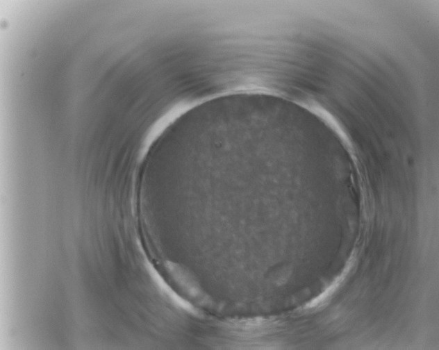 X0000066510910200603241303