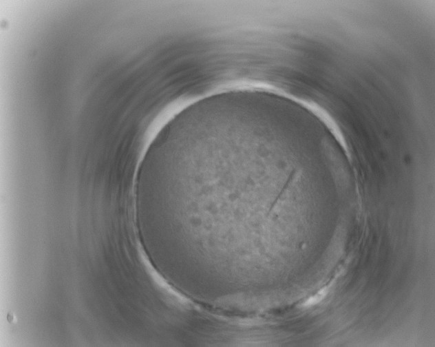 X0000066510911200603241303