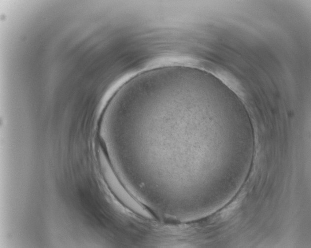 X0000066510912200603241303