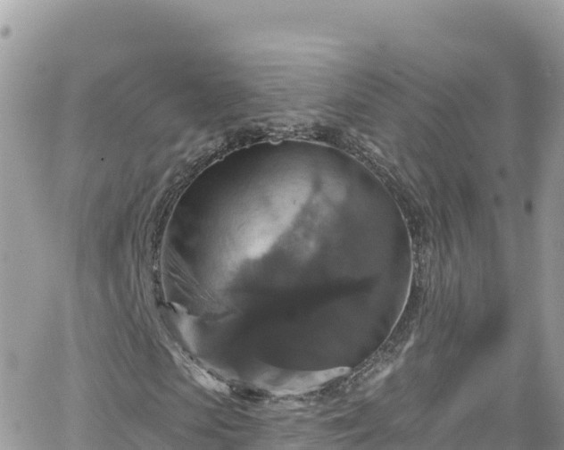 X0000066510913200603241302