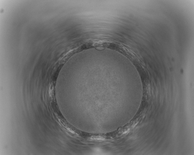 X0000066510914200603241302