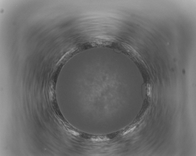 X0000066510915200603241303