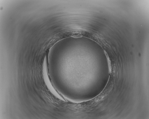 X0000066510916200603241303