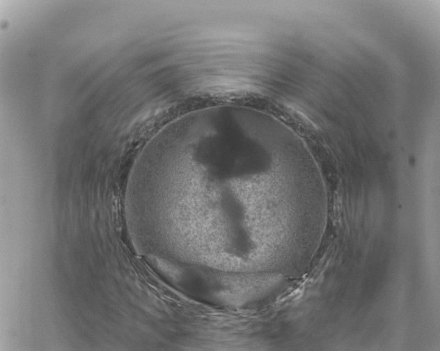 X0000066510917200603241303