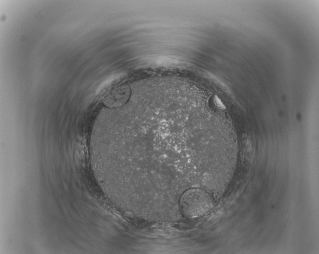 X0000066510918200603241303