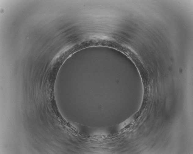 X0000066510919200603241303