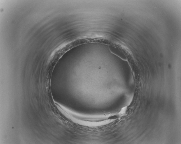 X0000066510920200603241303