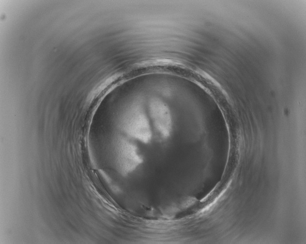 X0000066510921200603241303