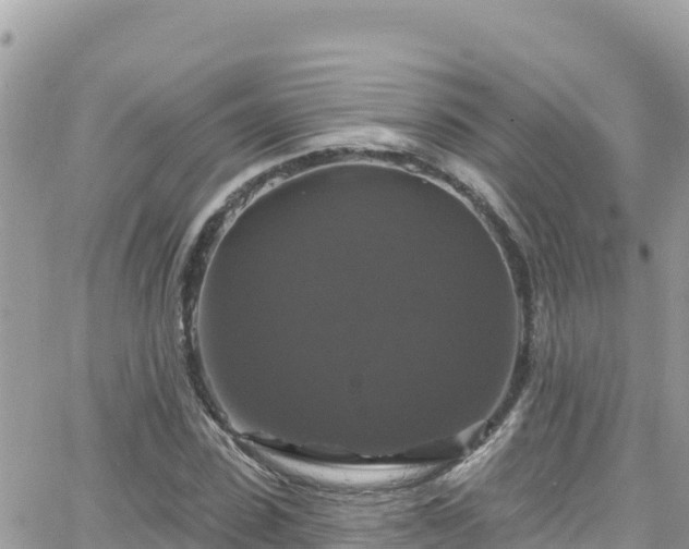 X0000066510923200603241303