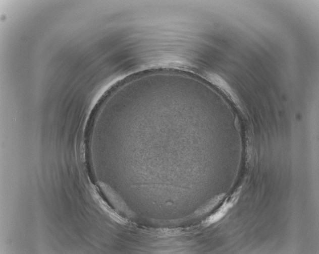 X0000066510924200603241303