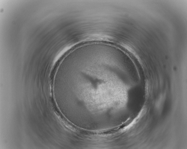 X0000066510925200603241303