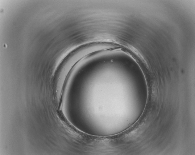 X0000066510926200603241303