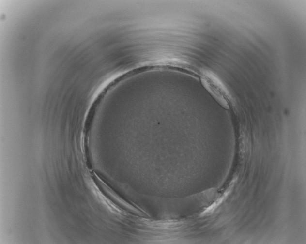 X0000066510932200603241303