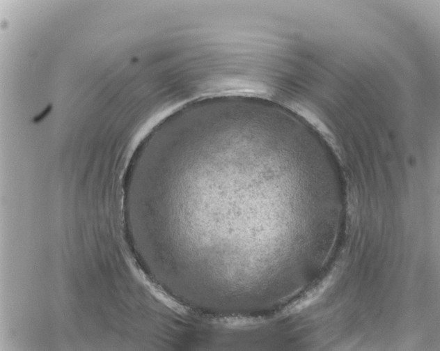 X0000066510933200603241303