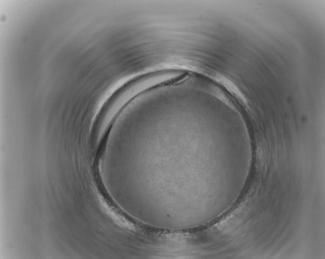 X0000066510934200603241303