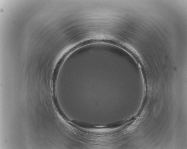 X0000066510935200603241303