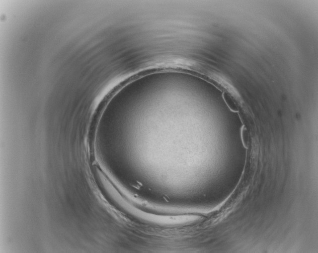 X0000066510936200603241303