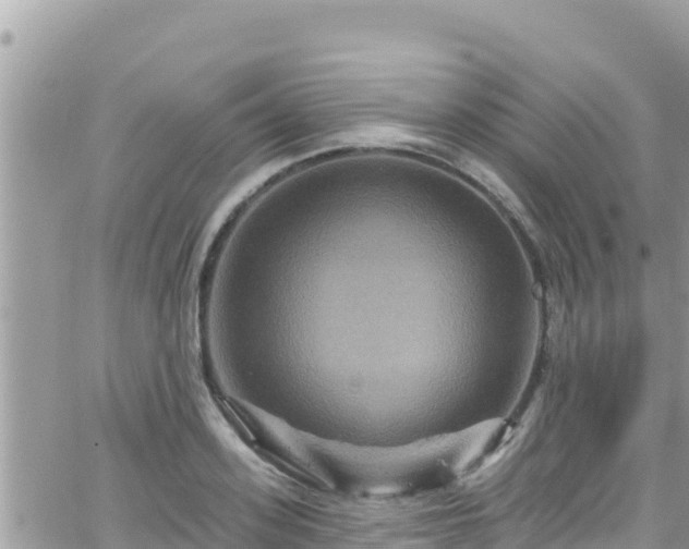 X0000066510939200603241303