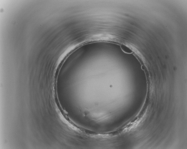 X0000066510941200603241303