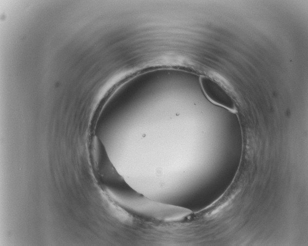 X0000066510942200603241303