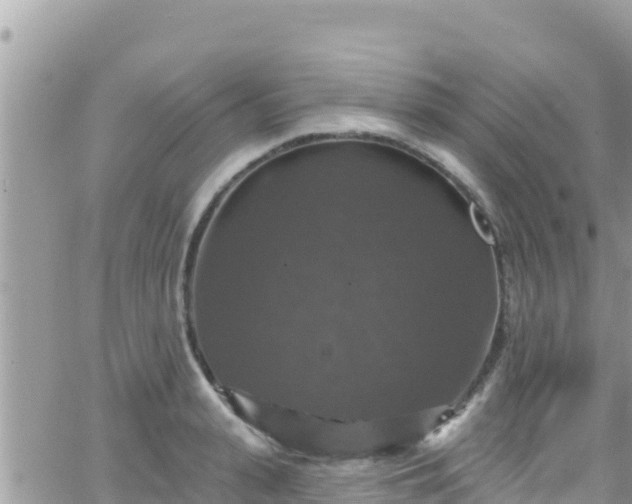 X0000066510943200603241303