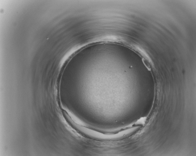 X0000066510944200603241303