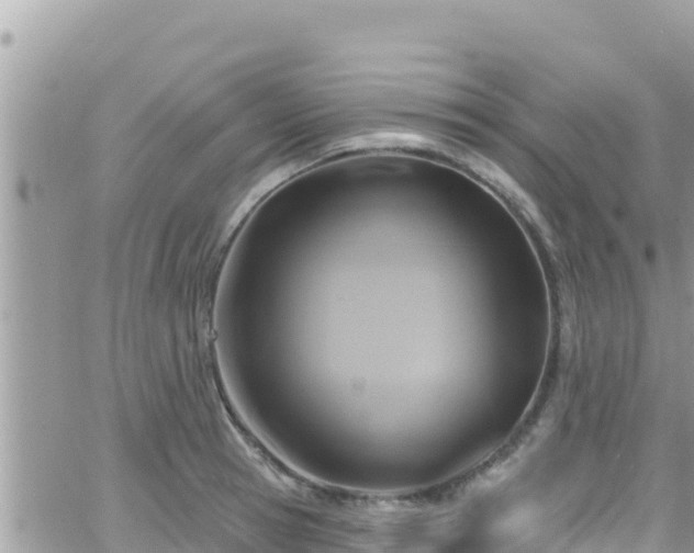 X0000066510945200603241303