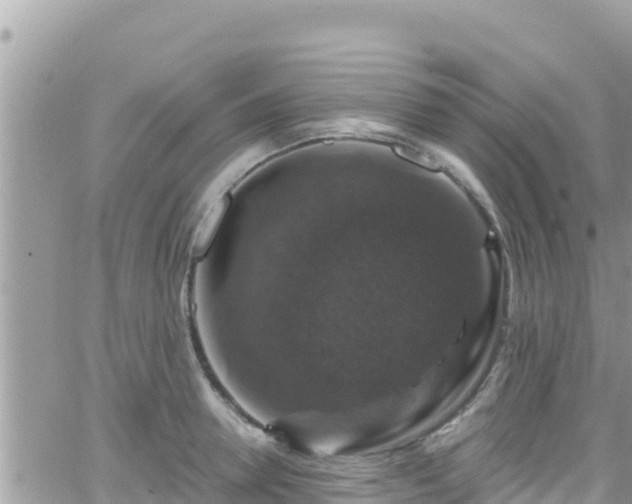 X0000066510946200603241303