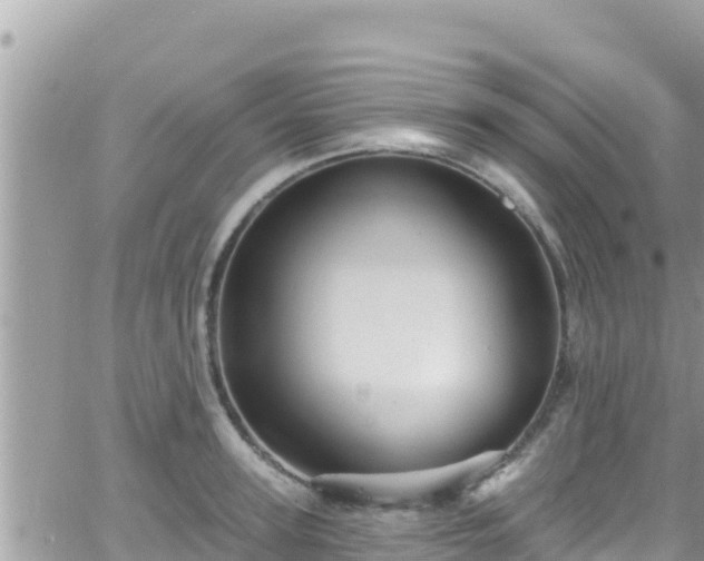 X0000066510947200603241303