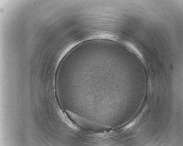 X0000066510948200603241303