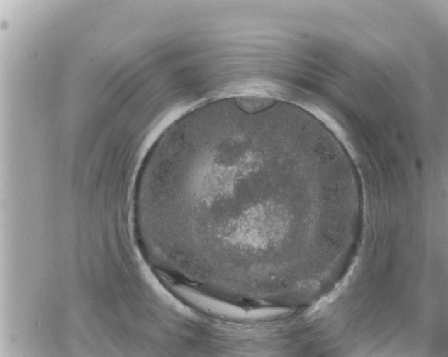 X0000066510949200603241303