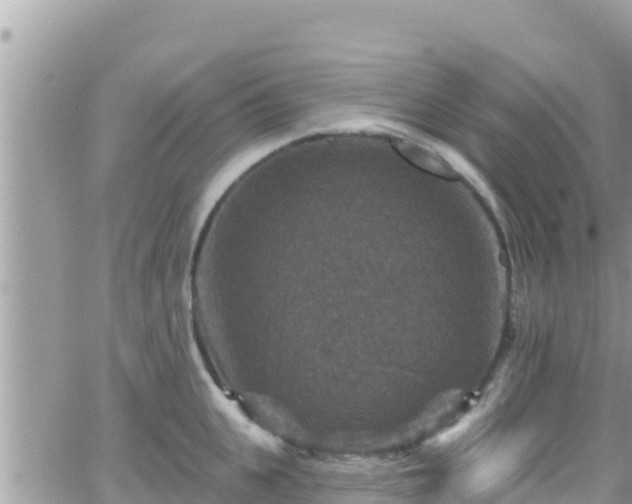 X0000066510951200603241303