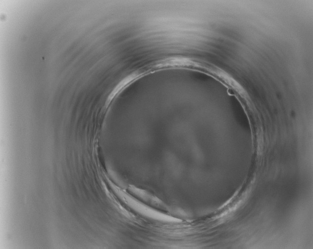 X0000066510953200603241303