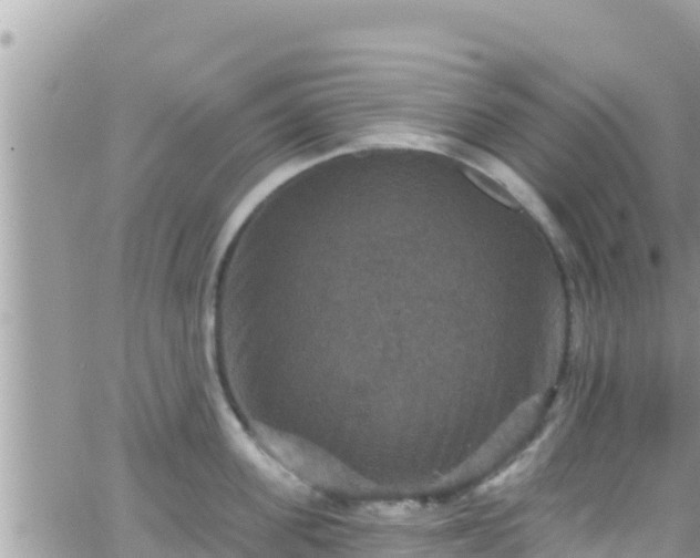 X0000066510955200603241303