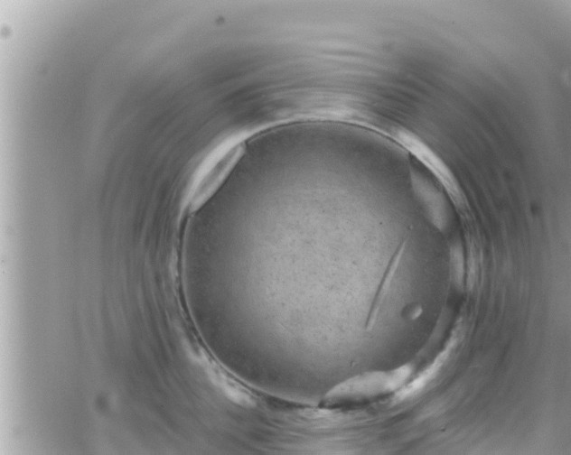 X0000066510956200603241303