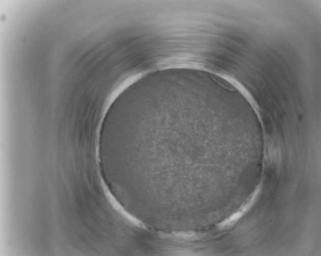 X0000066510957200603241303