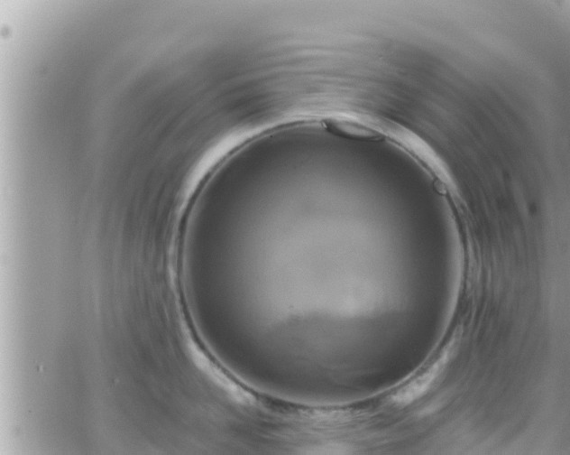 X0000066510958200603241303