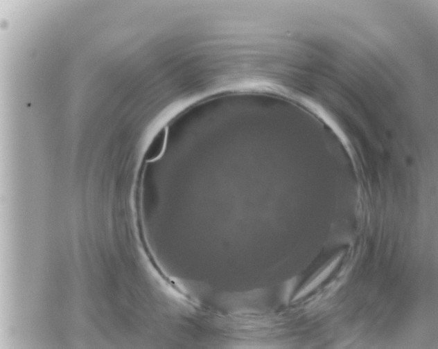 X0000066510959200603241303