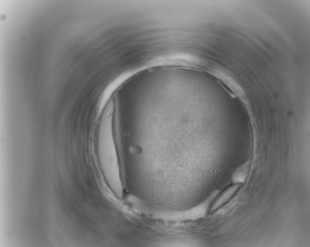 X0000066510960200603241303