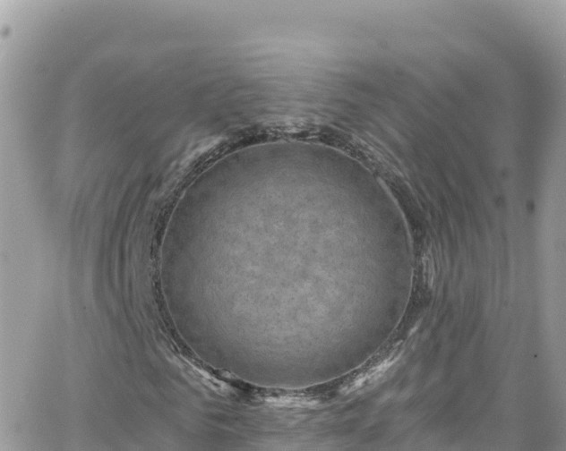 X0000066510961200603241302