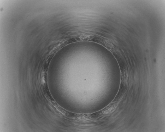 X0000066510962200603241302